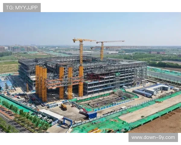 社会化力量参与体育治理程度加深 激发系统化建设新动能