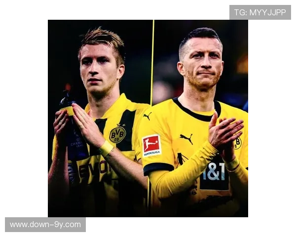 球迷创意横幅致敬罗伊斯，多特蒙德温情时刻